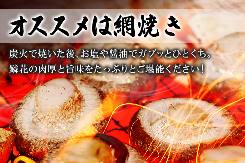 ご自宅でブランド椎茸を栽培！しいたけ栽培キット