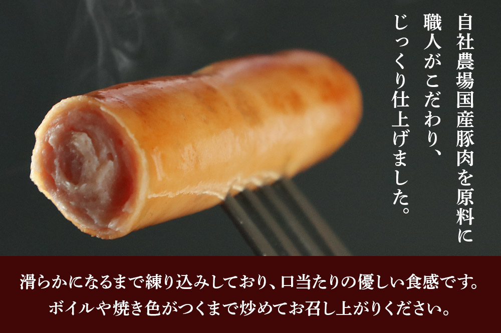 田園ハム ポークウインナー 95g×10個セット