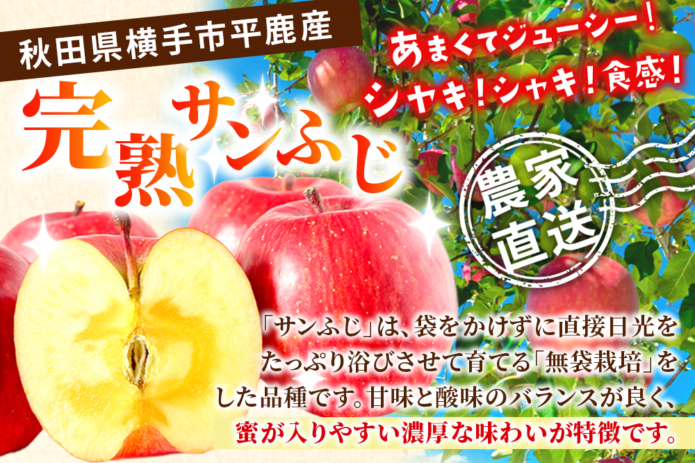 完熟サンふじ秀品 約5kg（16～20個入）りんご