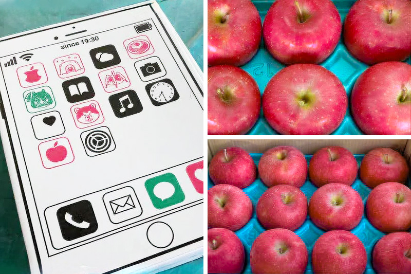 12月上旬より発送【贈答用】秋田県産 サンふじりんご 約3kg(9玉～12玉前後)