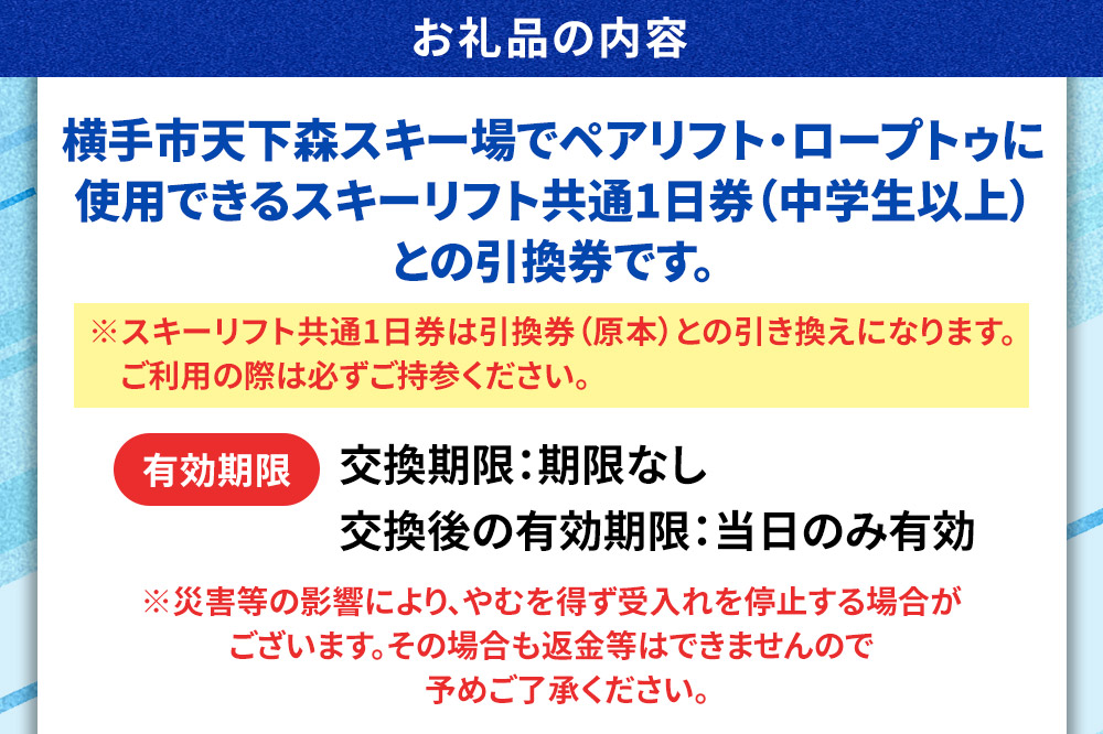 横手市天下森スキー場 スキーリフト共通1日券（一般）引換券 ゆうパケット
