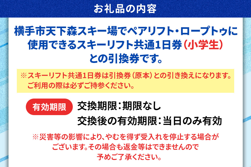 横手市天下森スキー場 スキーリフト共通1日券（小学生）引換券 ゆうパケット