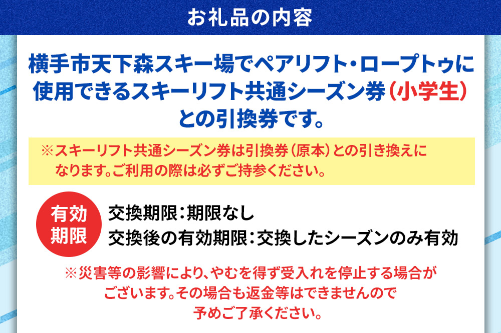 横手市天下森スキー場 スキーリフト共通シーズン券（小学生）引換券 ゆうパケット
