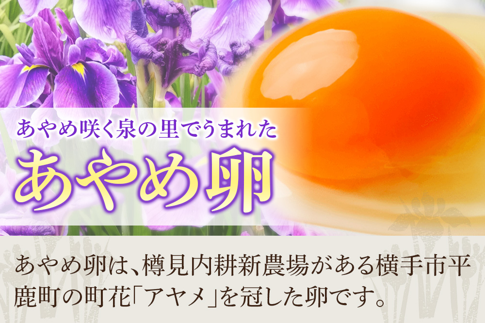 あやめ卵 50個入 【農場HACCP認証】 【JGAP認証】