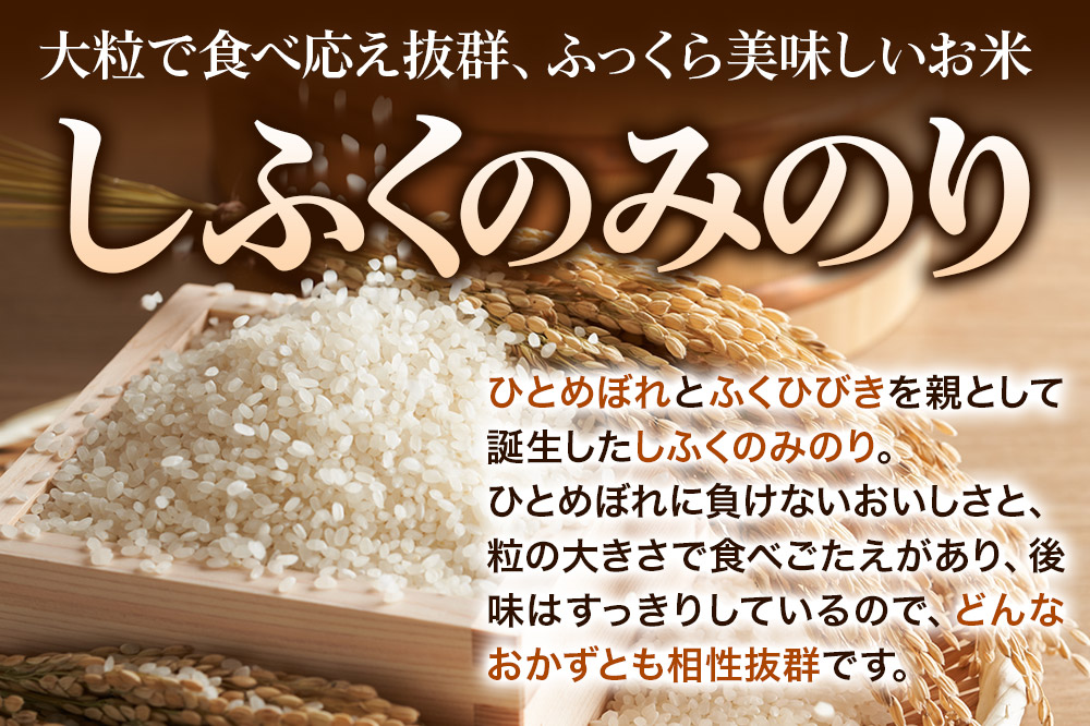 【白米】《定期便2ヶ月》令和7年産 しふくのみのり 5kg（5kg×1袋）×2回 計10kg 秋田県産 横手市