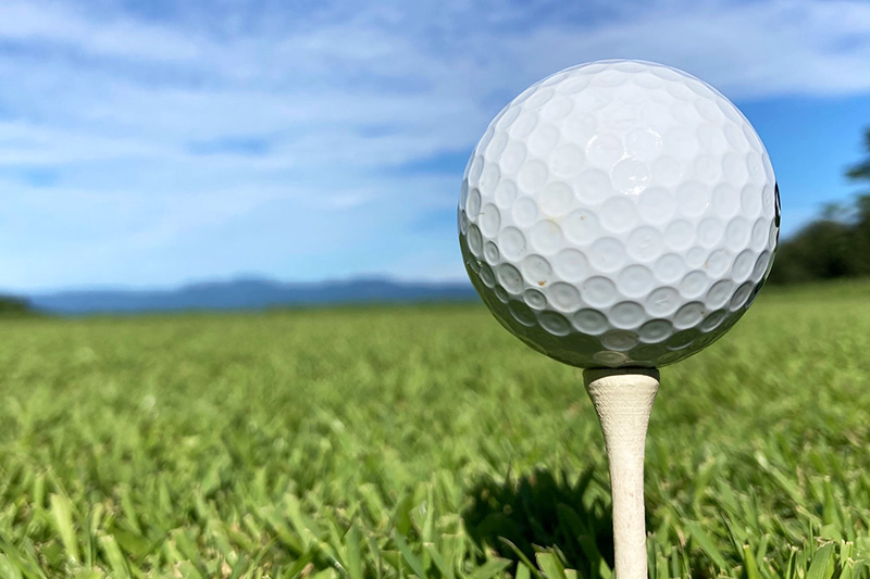 ゴルフ場利用券2,500円分 羽後カントリー倶楽部