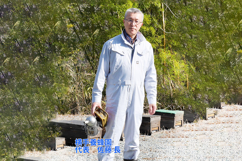 アカシアはちみつボトル 計600g（300g×2本）