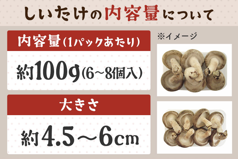 しいたけ A級品 Mサイズ 約800g(約100g(6～8個入)×8パック)