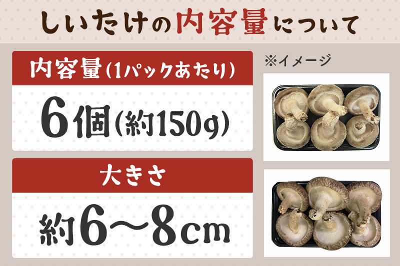 しいたけ A級品 Lサイズ 約1.2kg(約150g(6個入)×8パック)