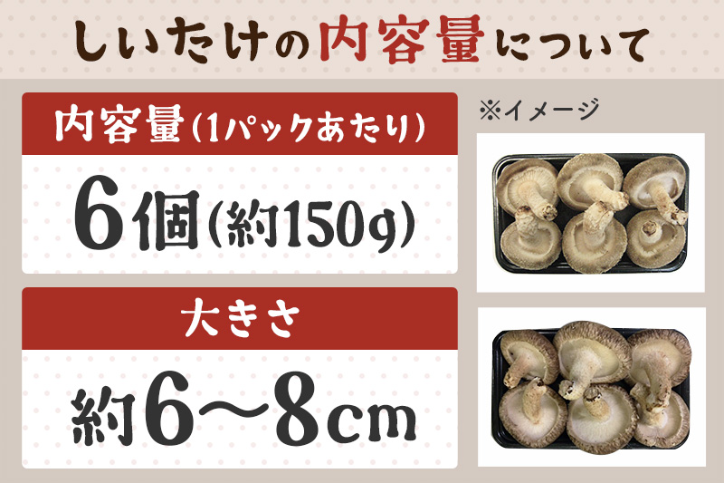 しいたけ A品 6L（約150g）×20パック
