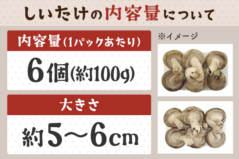 しいたけ A品 6M（約100g）×30パック