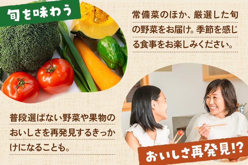 和泉青果六代目が選ぶ 秋田の季節野菜おまかせセット 10～12品目