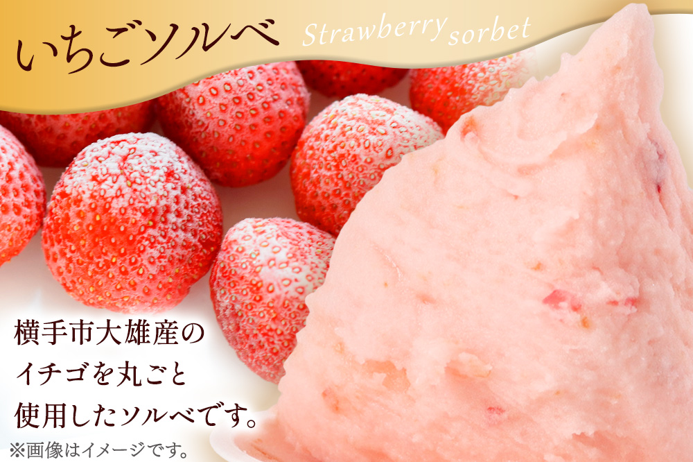 ジェラート詰合せ いちごセット（イチゴ・いちごソルベ・紅茶フランボワーズ・いちごミルフィーユ）約100g×8個（各種2個ずつ）