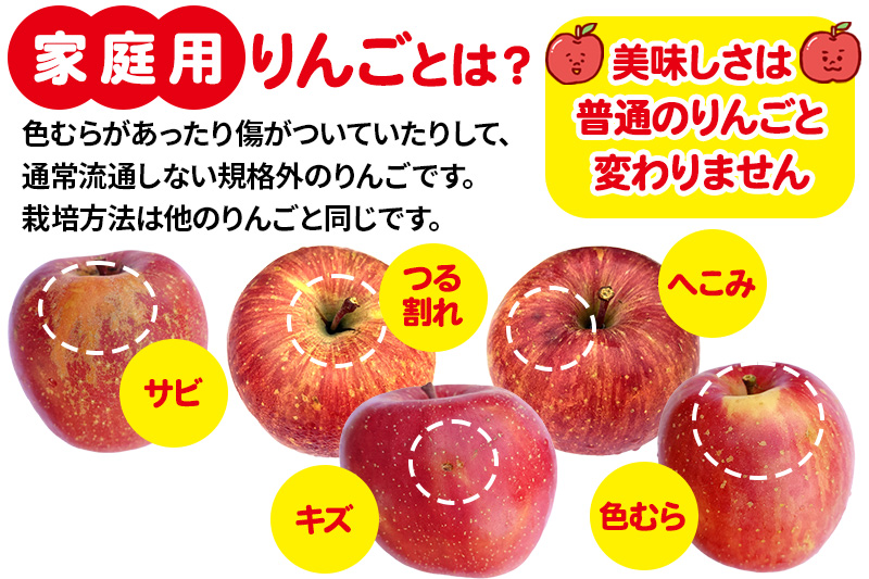 12月中旬より発送 【ご家庭向け】サンふじ 約10kg (28～46玉) りんご 林檎