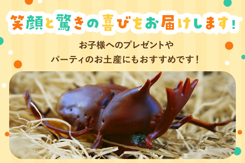 カブトムシの成虫チョコレート＆クワガタチョコレート 小松屋本店 プレゼント インスタ映え お菓子 スイーツ チョコ チョコレート ギフト