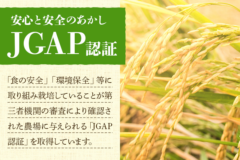 【無洗米】令和7年産 秋田県産 あきたこまち 10kg(5kg×2袋) 【JGAP認証】【秋田県特別栽培農産物認証】