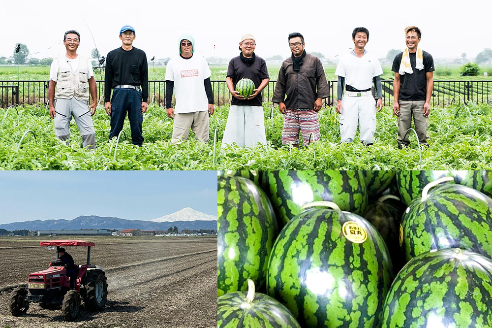 【白米】令和7年産 あきたこまち 20kg（5kg×4袋）横手市産