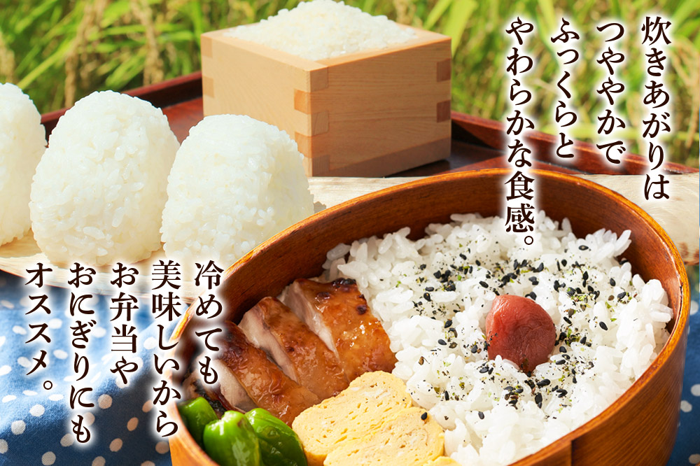 《令和7年産》《定期便8ヶ月》 米 あきたこまち 10kg（5kg×2袋） 【白米】 秋田県産