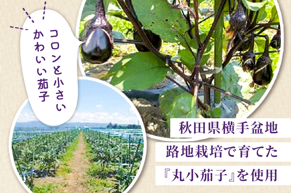 玄米こうじ漬け 菊入秋田丸小茄子漬け（冷凍品）180g × 6パック 秋田 横手市 漬物 なす漬 麹漬け