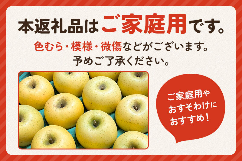 パリパリ食感シナノゴールド ご家庭用 約5kg（14～23玉前後） [しなのごーるど 林檎 りんご リンゴ 家庭用 不揃い おまかせ 【りんご】特集]