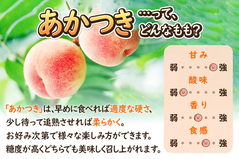 《先行受付！8月上旬より順次発送》夏の太陽をたくさん浴びた桃 あかつき 約3kg（9～13玉前後）