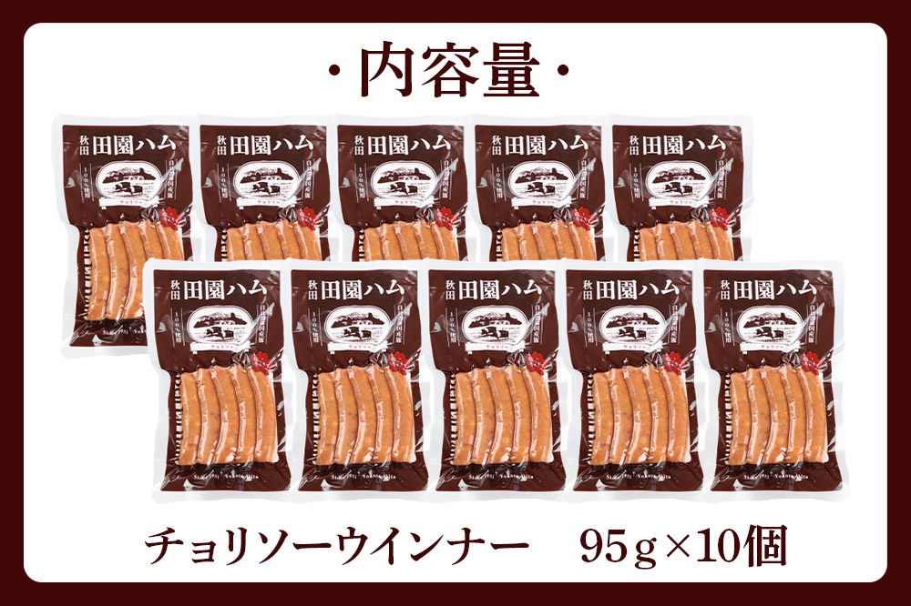 田園ハム チョリソー 95g×10個セット
