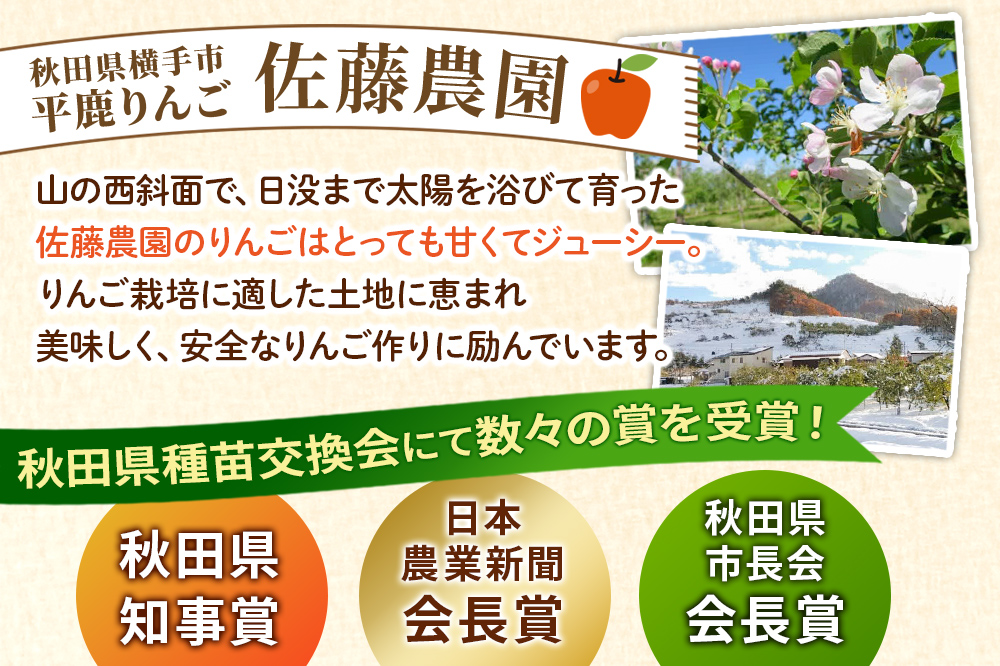 完熟サンふじ秀品 約5kg（16～20個入）りんご
