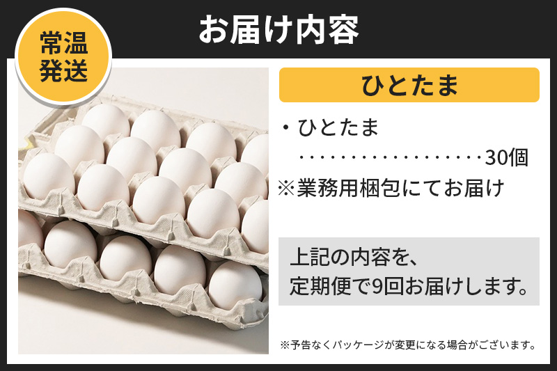 【常温発送】《定期便9ヶ月》ひとたま 30個（業務用）【発送時期が選べる】東海林養鶏場 ひとたま 卵 玉子 たまご タマゴ 9か月 9ヵ月 9カ月 9ケ月 開始時期選べる