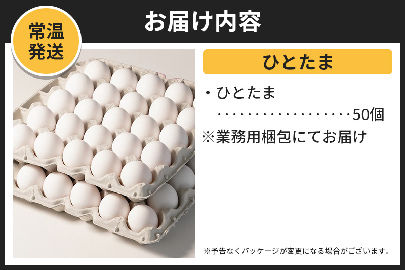 【常温発送】ひとたま 50個（業務用）【発送時期が選べる】東海林養鶏場 ひとたま 卵 玉子 たまご タマゴ  配送時期選べる
