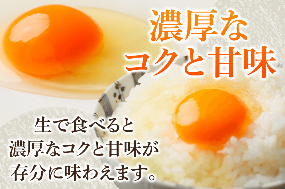 あやめ卵 50個入 【農場HACCP認証】 【JGAP認証】