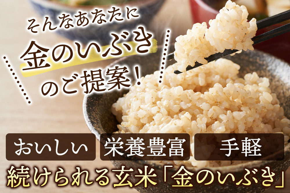 【玄米】米 金のいぶき 4kg(2kg×2袋) 令和7年産