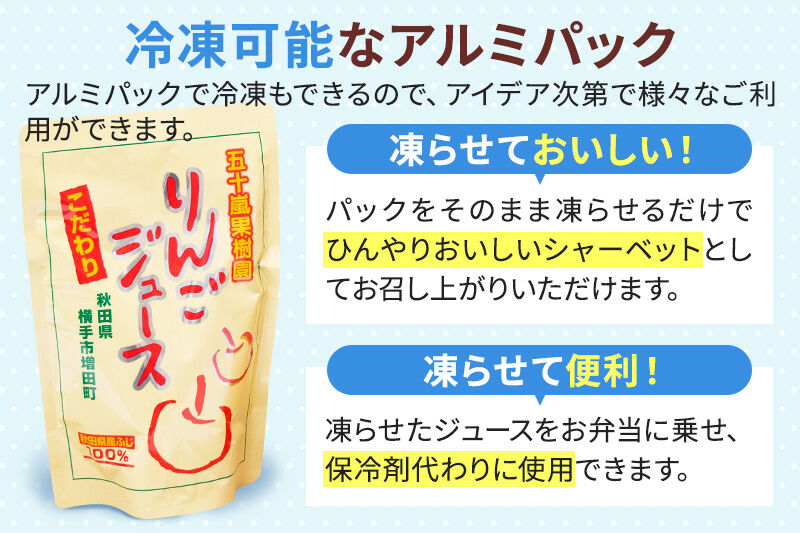 無添加りんごジュース(サンふじ) 20パック リンゴジュース [秋田県 五十嵐果樹園 りんごジュース 無添加 りんご リンゴ 林檎 ストレート 無添加 果汁100%]