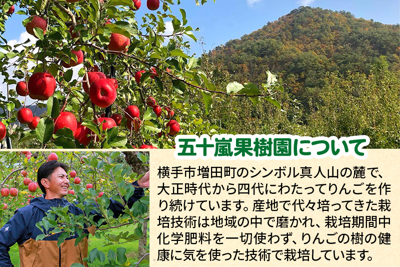12月中旬より発送 サンふじ【ご家庭向け】約3kg（7～11玉）りんご 林檎
