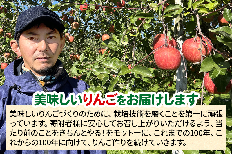12月中旬より発送 サンふじ 【秀品】約10kg （28～46玉）りんご 林檎