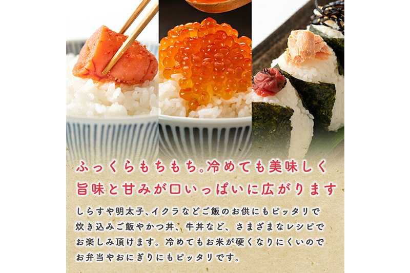 《定期便10ヶ月》あきたこまち 27kg【5分づき】令和7年産 秋田県産 こまちライン