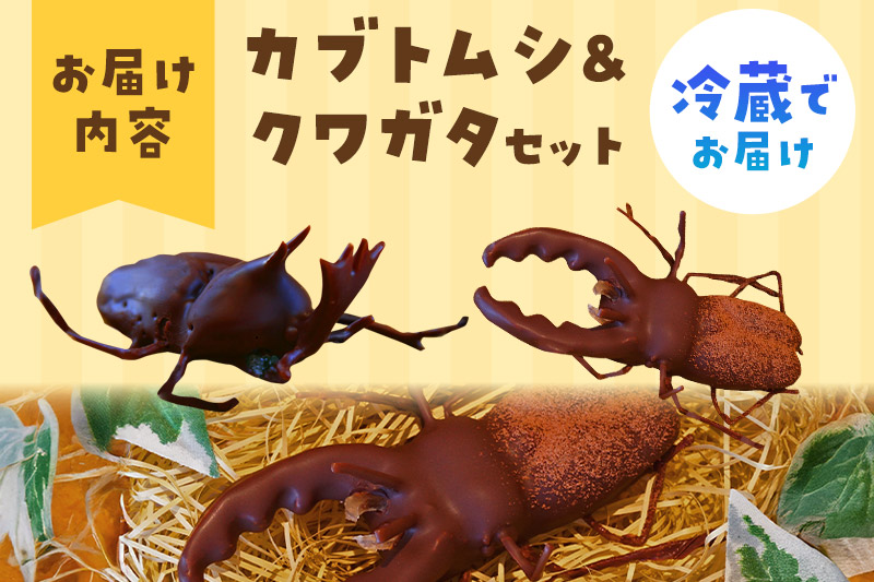 カブトムシの成虫チョコレート＆クワガタチョコレート 小松屋本店 プレゼント インスタ映え お菓子 スイーツ チョコ チョコレート ギフト