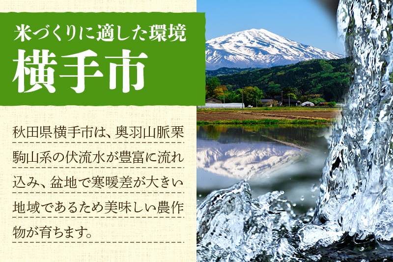 【玄米】令和7年産 秋田県産 淡雪こまち 30kg(30kg×1袋) 【JGAP認証】【秋田県特別栽培農産物認証】