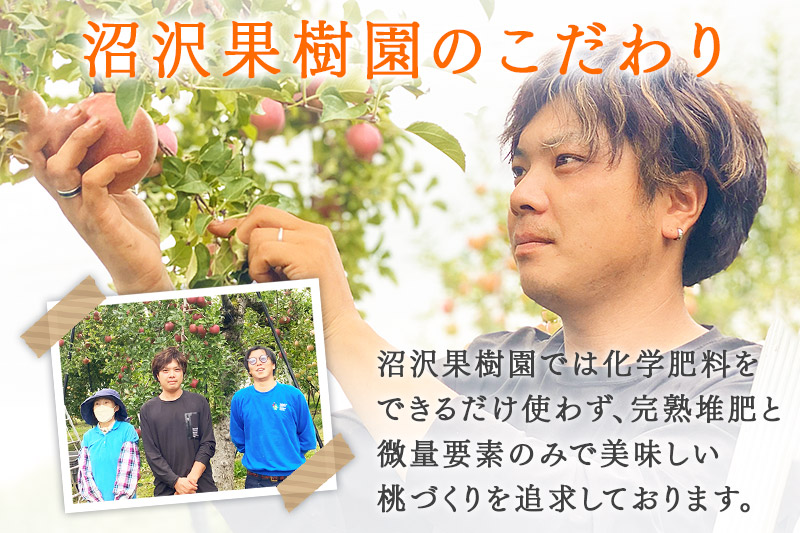 《先行受付！8月上旬より順次発送》夏の太陽をたくさん浴びた桃 あかつき 約3kg（9～13玉前後）