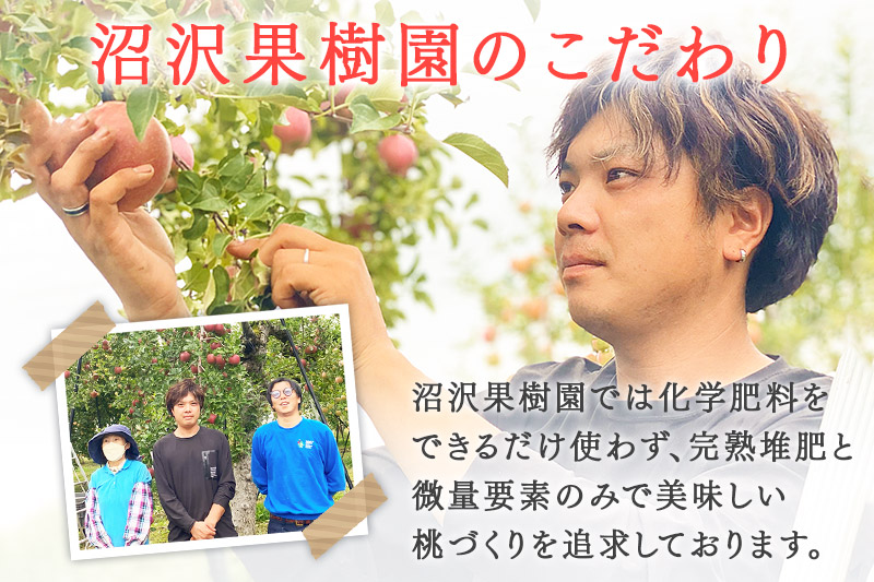 《先行受付！8月下旬より順次発送》モモの王様 川中島白桃 約3kg（9～13玉前後）