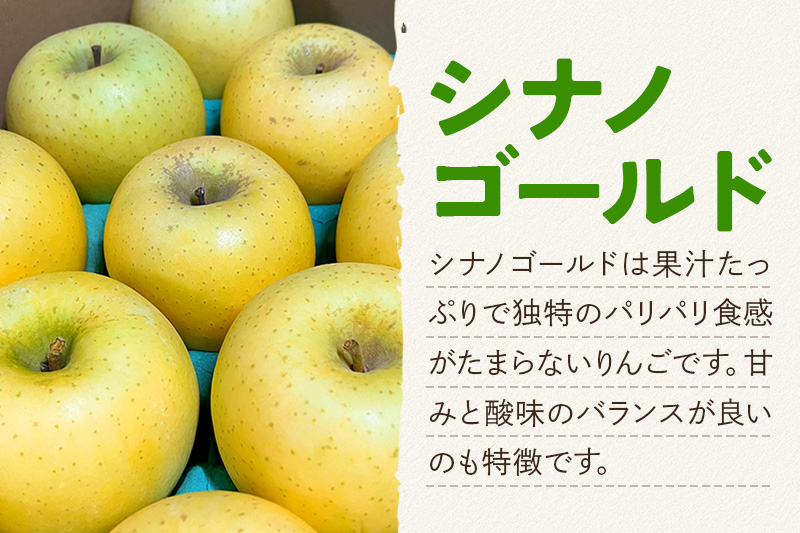 1月中旬より発送 パリパリ食感シナノゴールド ご家庭用 約5kg（14～23玉前後）