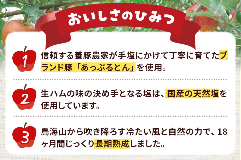 《定期便3ヶ月》生ハム スライス 30g×10パック 長期熟成 国産豚肉 あっぷるとん 秋田県横手市産