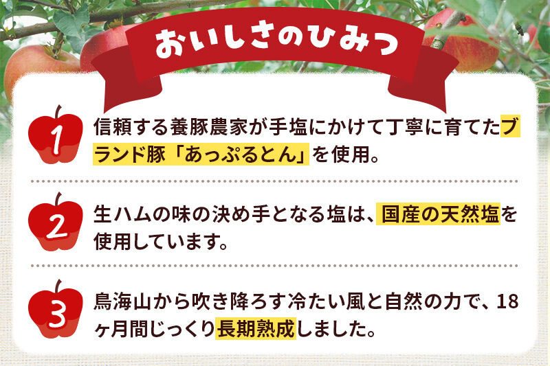 生ハム スライス 30g×10パック 長期熟成 国産豚肉 あっぷるとん 秋田県横手市産 [ブランド豚 国産生ハム 熟成]