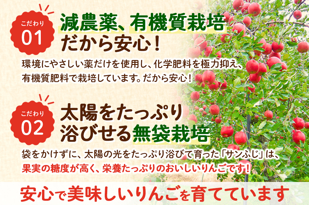 完熟サンふじ秀品 約5kg（16～20個入）りんご