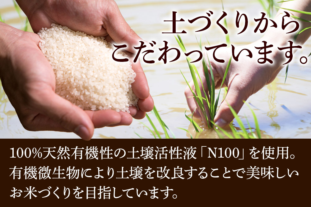 【白米】《定期便2ヶ月》令和7年産 しふくのみのり 5kg（5kg×1袋）×2回 計10kg 秋田県産 横手市