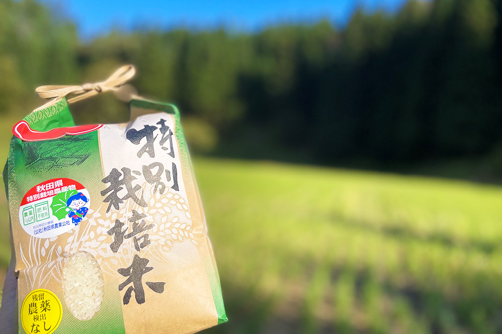 【玄米】【令和7年産】名物農家こだわりの特別栽培米 あきたこまち 4kg（2kg×2袋）