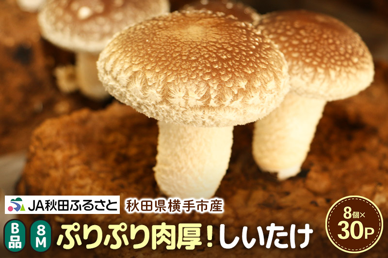 しいたけ B品 8M（約100g）×30パック