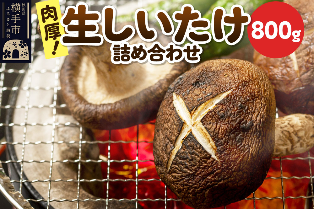 生しいたけ詰め合わせ 800g 秋田新鮮組