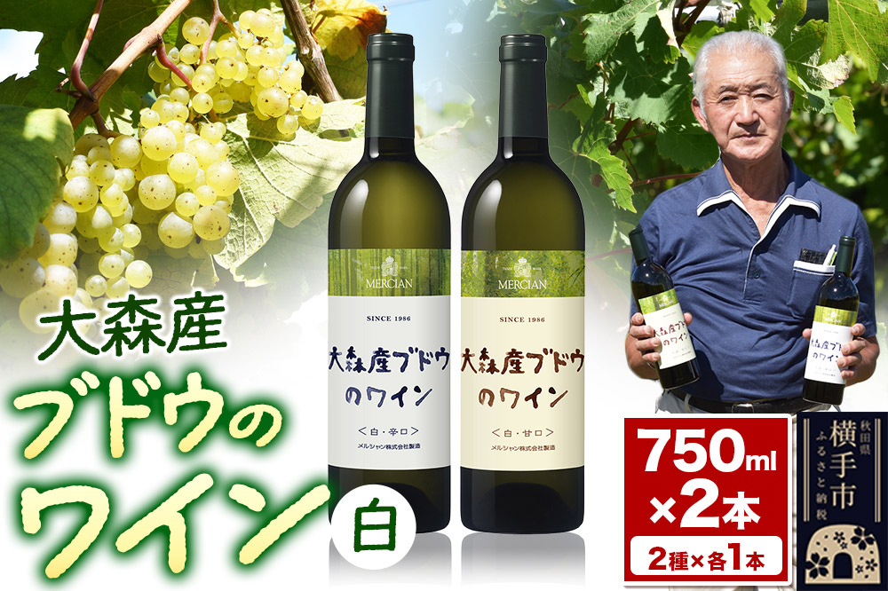 大森産ワインの甘辛飲みくらべ  750ml×各1本 計2本