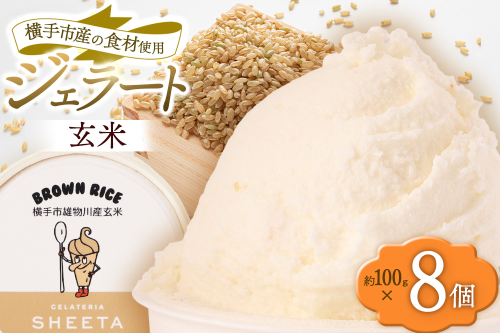 ジェラート 玄米 約100g×8個