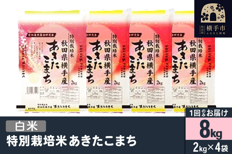 【白米】令和7年産 特別栽培米 あきたこまち 8kg（2kg×4袋）